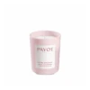 Payot Rituel Douceur Bougie Harmonisante 180g 1 Payot Rituel Douceur Bougie Harmonisante 180g -Skin Ceuticals Tienda payot rituel douceur bougie harmonisante