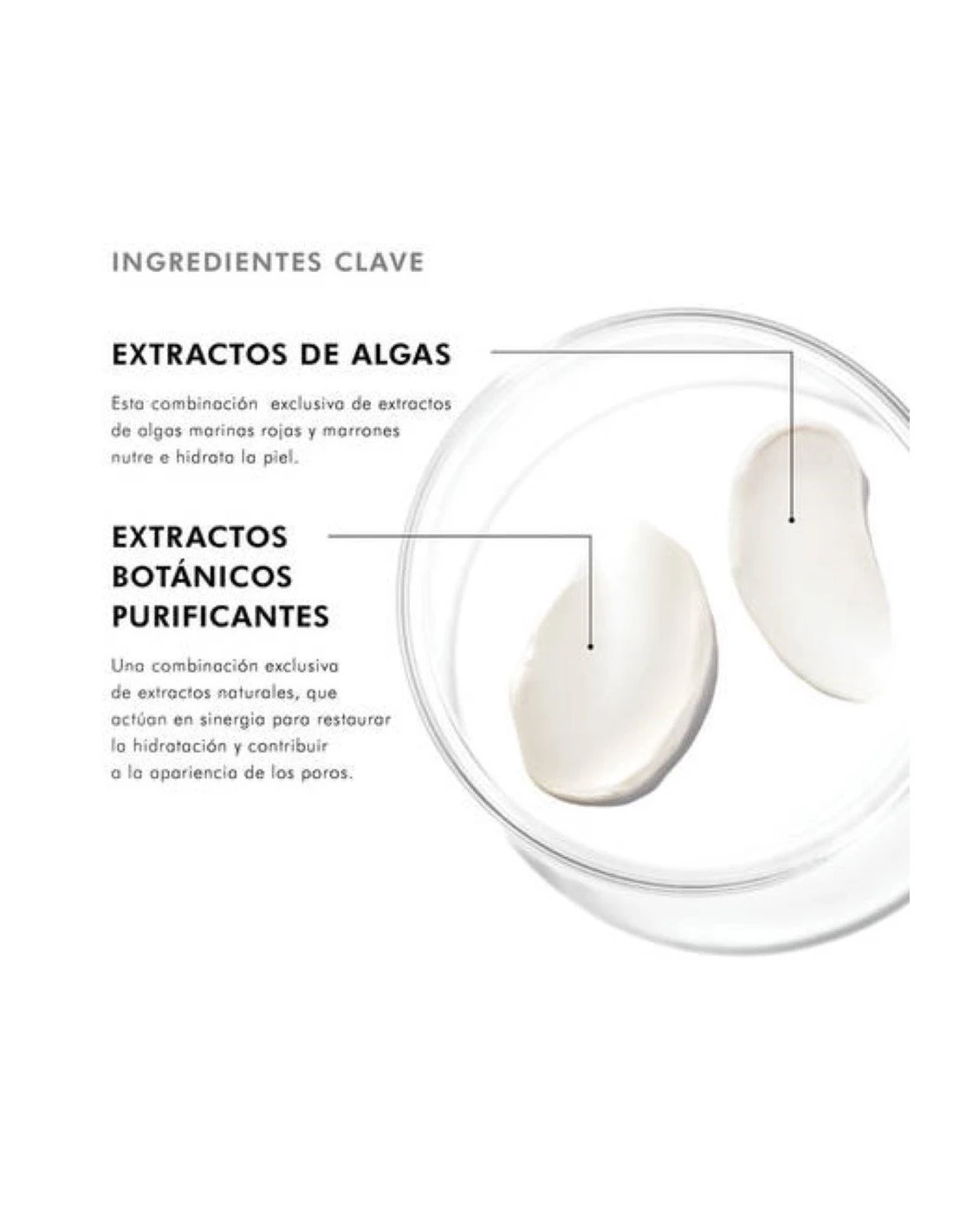 SkinCeuticals Daily Moisture 60ml 4 SkinCeuticals Daily Moisture 60ml - Imagen 2