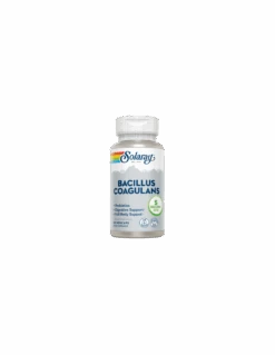 Solaray Bacillus Coagulans 60 Cápsulas