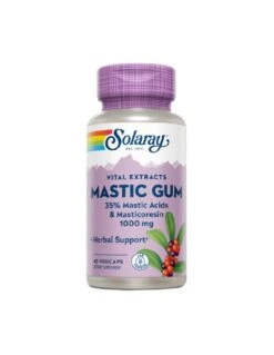 Solaray Mastic Gum 500mg 45 Cápsulas