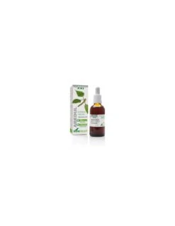 Soria Natural Extracto Abedul Siglo XXI 50ml