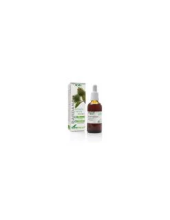 Soria Natural Extracto Bardana Siglo XXI 50ml
