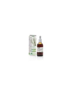 Soria Natural Extracto Cola De Caballo Siglo XXI 50ml