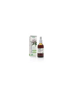 Soria Natural Extracto Valeriana Siglo XXI 50ml